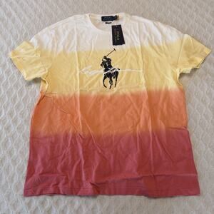 POLO RALPH LAUREN Men's Classic Fit Ombre Big Pony Script One Stitch T-Shirt L